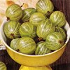 gooseberries (8K)